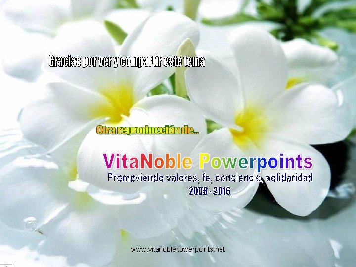 www. vitanoblepowerpoints. net 