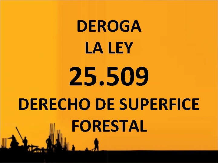 DEROGA LA LEY 25. 509 DERECHO DE SUPERFICE FORESTAL 
