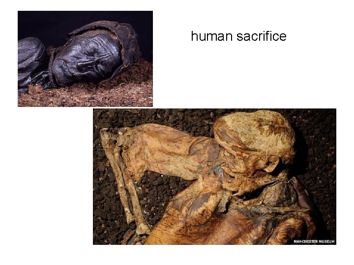 human sacrifice 