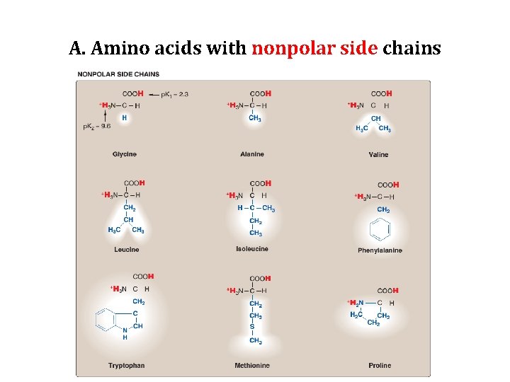 A. Amino acids with nonpolar side chains 