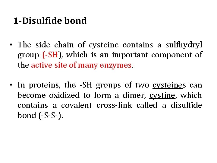 1 -Disulfide bond • The side chain of cysteine contains a sulfhydryl group (-SH),