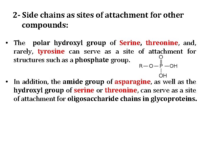 2 - Side chains as sites of attachment for other compounds: • The polar