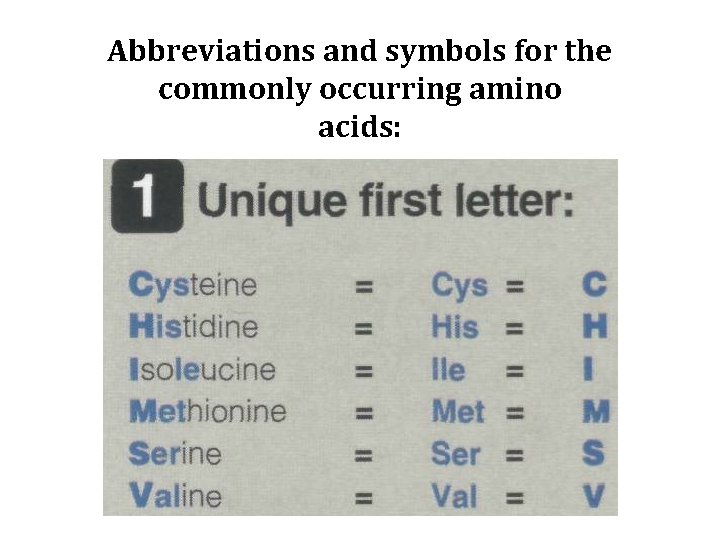 Abbreviations and symbols for the commonly occurring amino acids: 