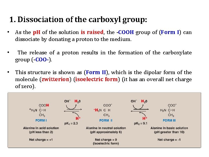 1. Dissociation of the carboxyl group: • As the p. H of the solution