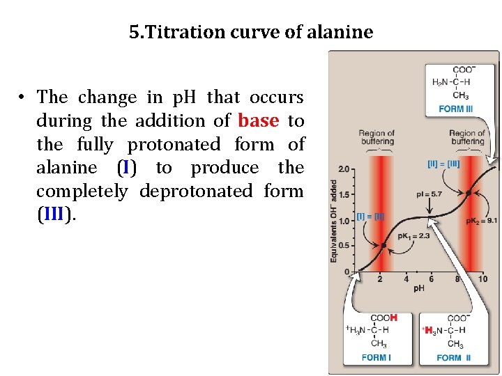 5. Titration curve of alanine • The change in p. H that occurs during