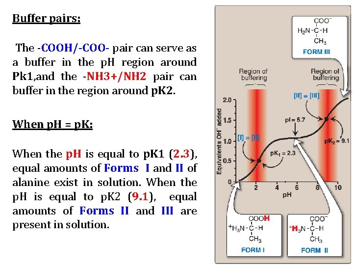 Buffer pairs: The -COOH/-COO- pair can serve as a buffer in the p. H