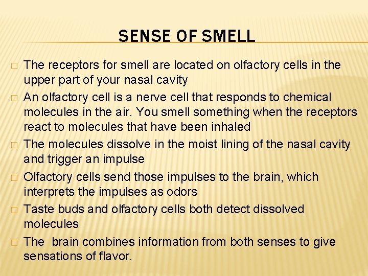 SENSE OF SMELL � � � The receptors for smell are located on olfactory