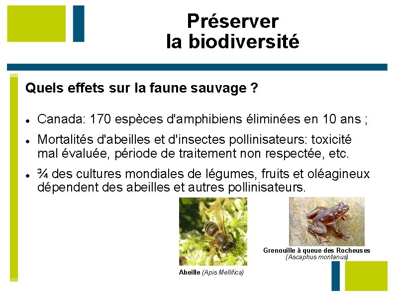 Préserver la biodiversité Quels effets sur la faune sauvage ? Canada: 170 espèces d'amphibiens