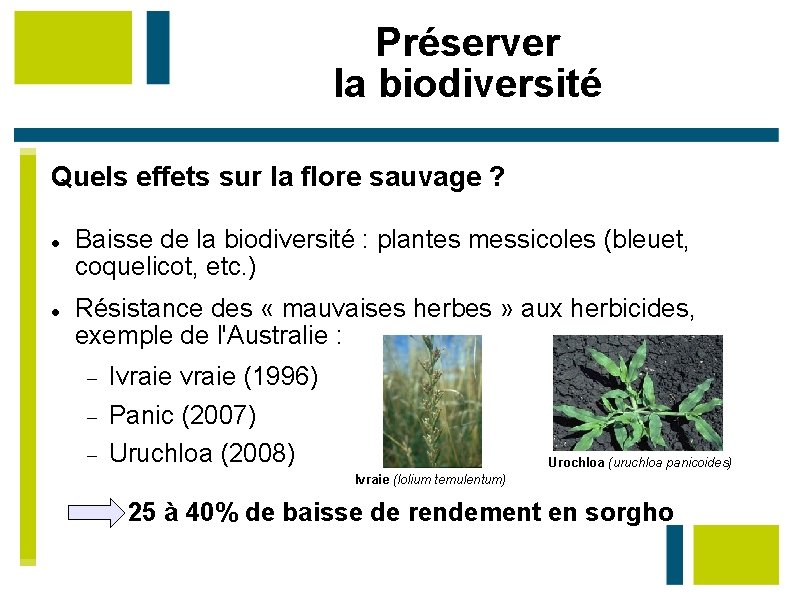 Préserver la biodiversité Quels effets sur la flore sauvage ? Baisse de la biodiversité