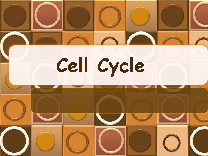 Cell Cycle 