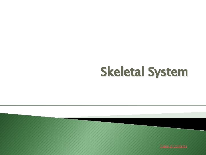 Skeletal System Table of Contents 