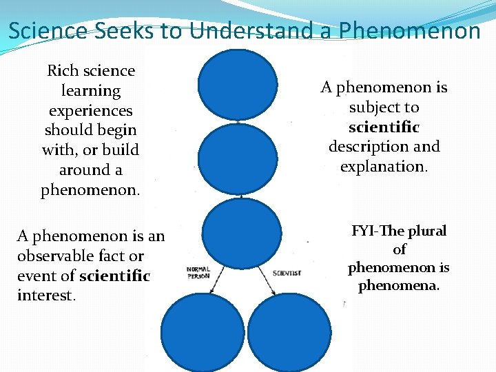 Science Seeks to Understand a Phenomenon Rich science learning experiences should begin with, or