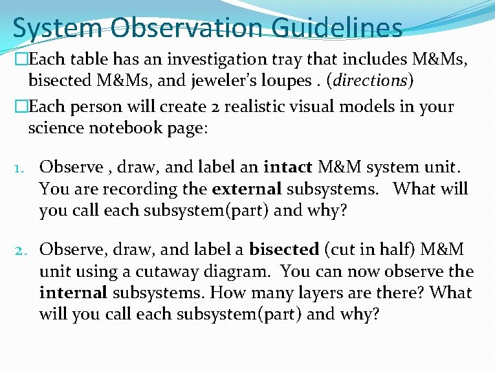 System Observation Guidelines �Each table has an investigation tray that includes M&Ms, bisected M&Ms,