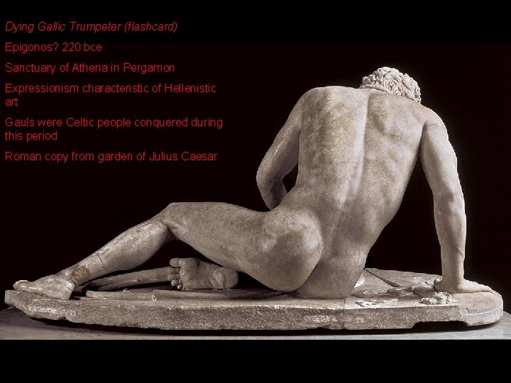 Dying Gallic Trumpeter (flashcard) Epigonos? 220 bce Sanctuary of Athena in Pergamon Expressionism characteristic