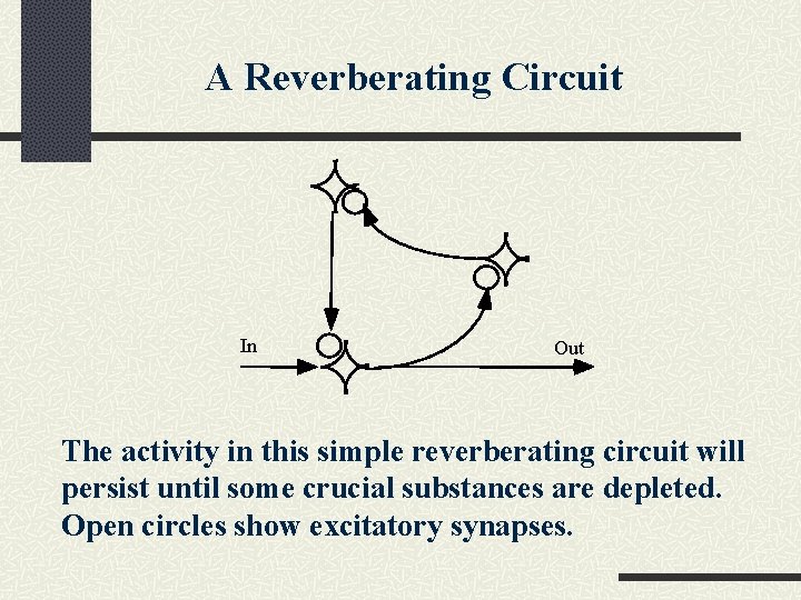 A Reverberating Circuit In Out The activity in this simple reverberating circuit will persist