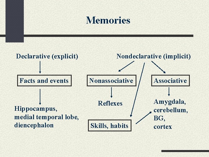 Memories Declarative (explicit) Facts and events Hippocampus, medial temporal lobe, diencephalon Nondeclarative (implicit) Nonassociative