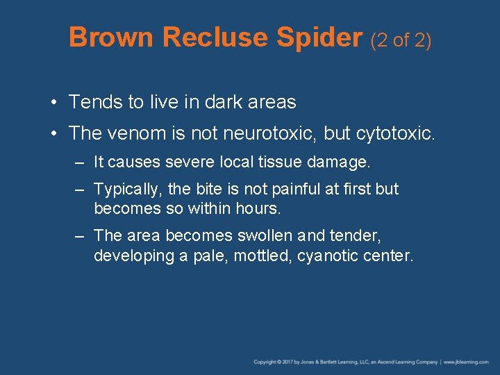 Brown Recluse Spider (2 of 2) • Tends to live in dark areas •