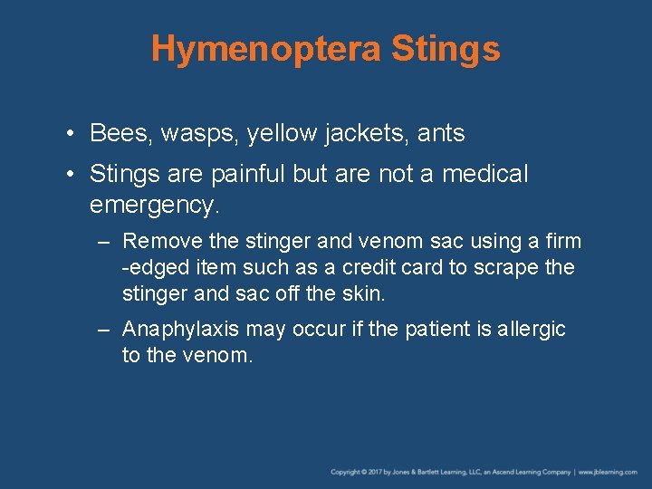 Hymenoptera Stings • Bees, wasps, yellow jackets, ants • Stings are painful but are