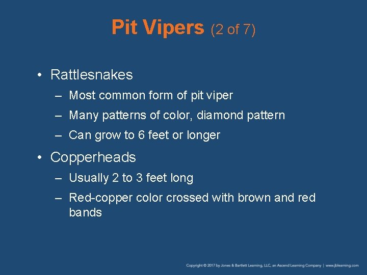 Pit Vipers (2 of 7) • Rattlesnakes – Most common form of pit viper