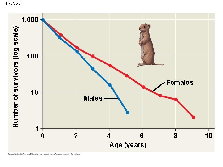 Fig. 53 -5 Number of survivors (log scale) 1, 000 100 Females 10 1