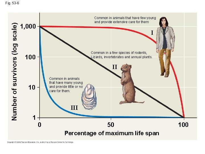 Number of survivors (log scale) Fig. 53 -6 Common in animals that have few