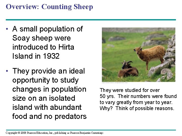 Overview: Counting Sheep • A small population of Soay sheep were introduced to Hirta