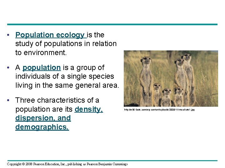  • Population ecology is the study of populations in relation to environment. •