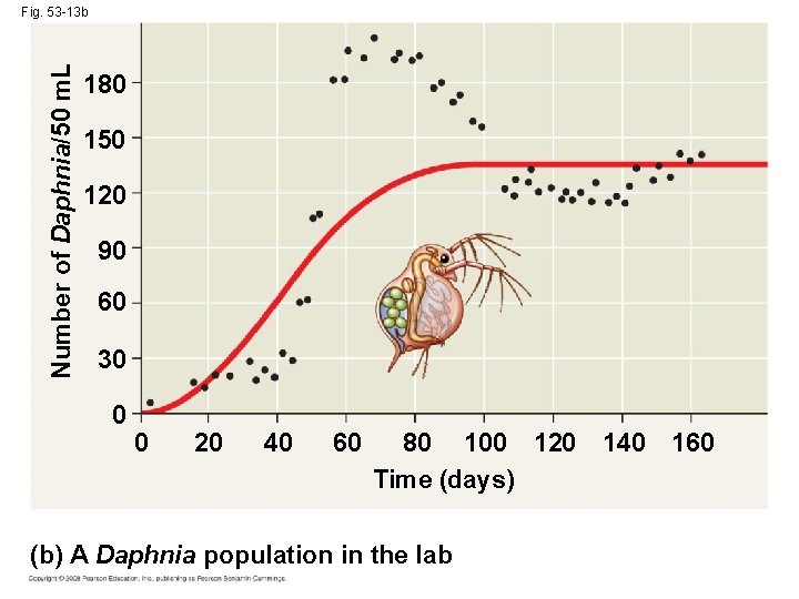 Number of Daphnia/50 m. L Fig. 53 -13 b 180 150 120 90 60