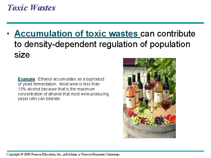 Toxic Wastes • Accumulation of toxic wastes can contribute to density-dependent regulation of population