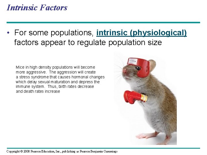 Intrinsic Factors • For some populations, intrinsic (physiological) factors appear to regulate population size