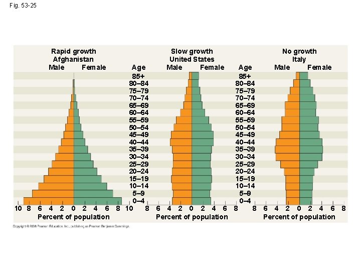 Fig. 53 -25 Rapid growth Afghanistan Male Female 10 8 6 4 2 0