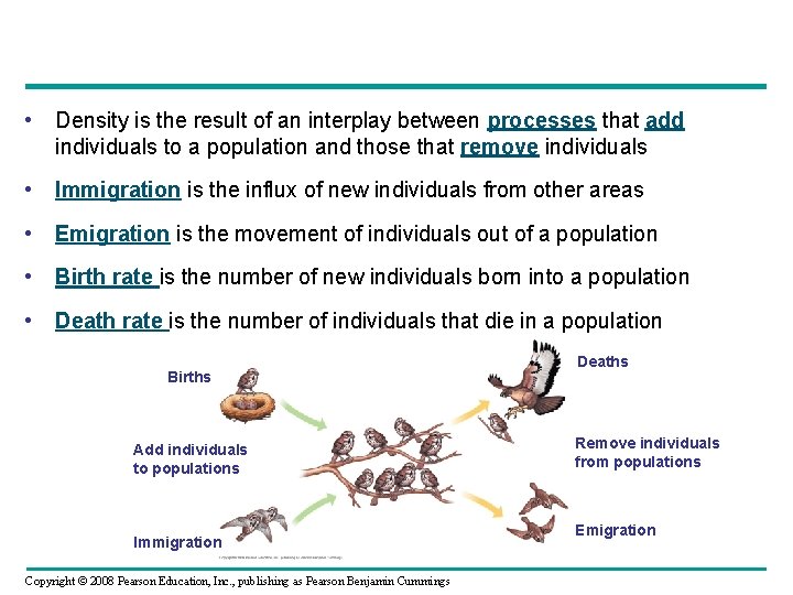  • Density is the result of an interplay between processes that add individuals