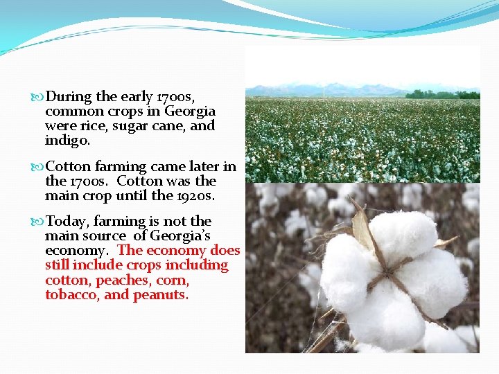  During the early 1700 s, common crops in Georgia were rice, sugar cane,