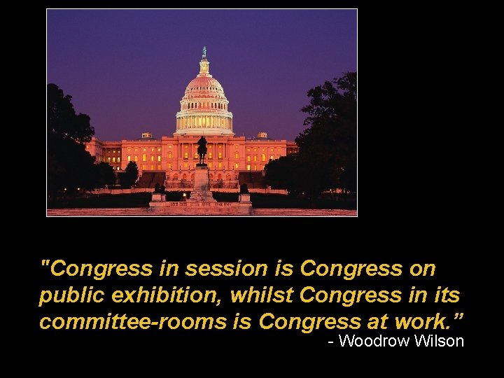 "Congress in session is Congress on public exhibition, whilst Congress in its committee-rooms is