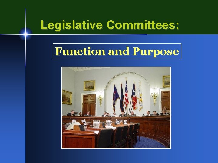 Legislative Committees: Function and Purpose 