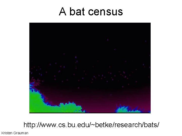 A bat census http: //www. cs. bu. edu/~betke/research/bats/ Kristen Grauman 