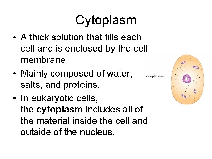 Cytoplasm • A thick solution that fills each cell and is enclosed by the