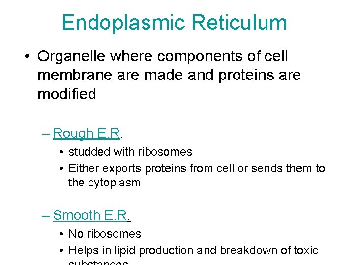 Endoplasmic Reticulum • Organelle where components of cell membrane are made and proteins are