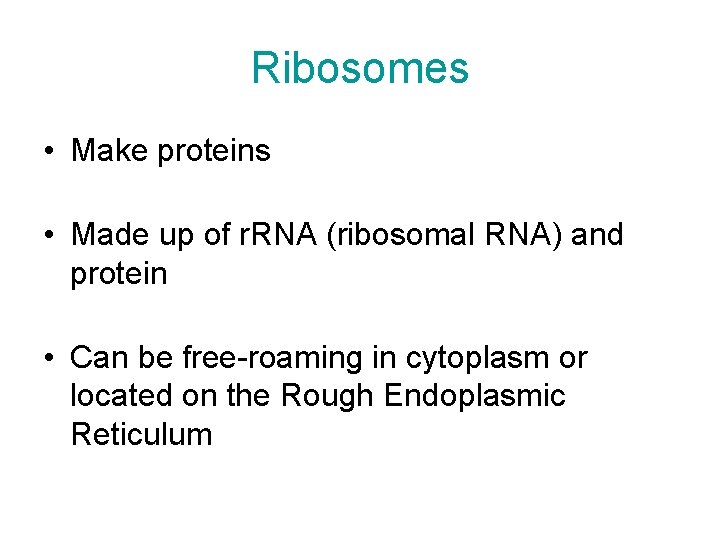Ribosomes • Make proteins • Made up of r. RNA (ribosomal RNA) and protein