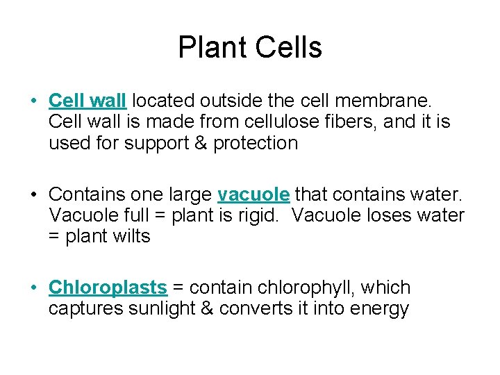 Plant Cells • Cell wall located outside the cell membrane. Cell wall is made