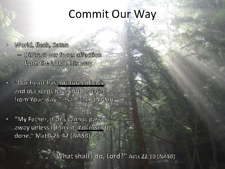 Commit Our Way • World, flesh, Satan – Distract our focus affection from the