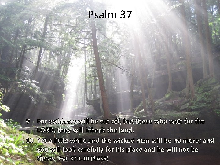 Psalm 37 9 For evildoers will be cut off, but those who wait for