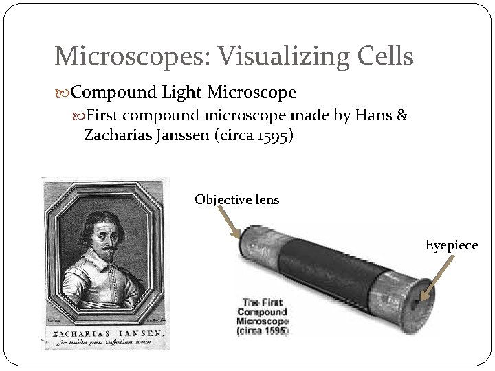 Microscopes: Visualizing Cells Compound Light Microscope First compound microscope made by Hans & Zacharias