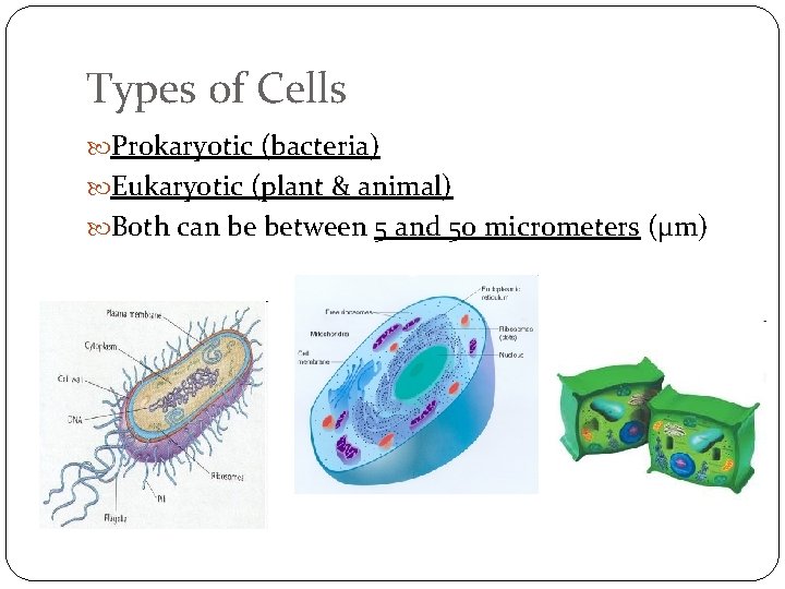 Types of Cells Prokaryotic (bacteria) Eukaryotic (plant & animal) Both can be between 5