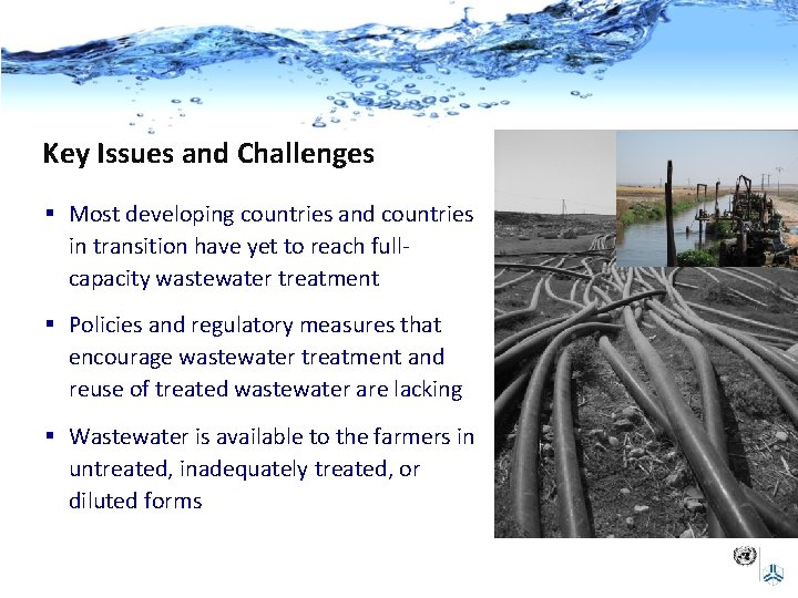 Key Issues and Challenges § Most developing countries and countries in transition have yet