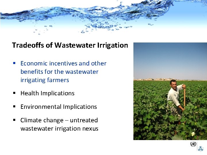 Tradeoffs of Wastewater Irrigation § Economic incentives and other benefits for the wastewater irrigating