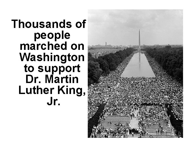Thousands of people marched on Washington to support Dr. Martin Luther King, Jr. 