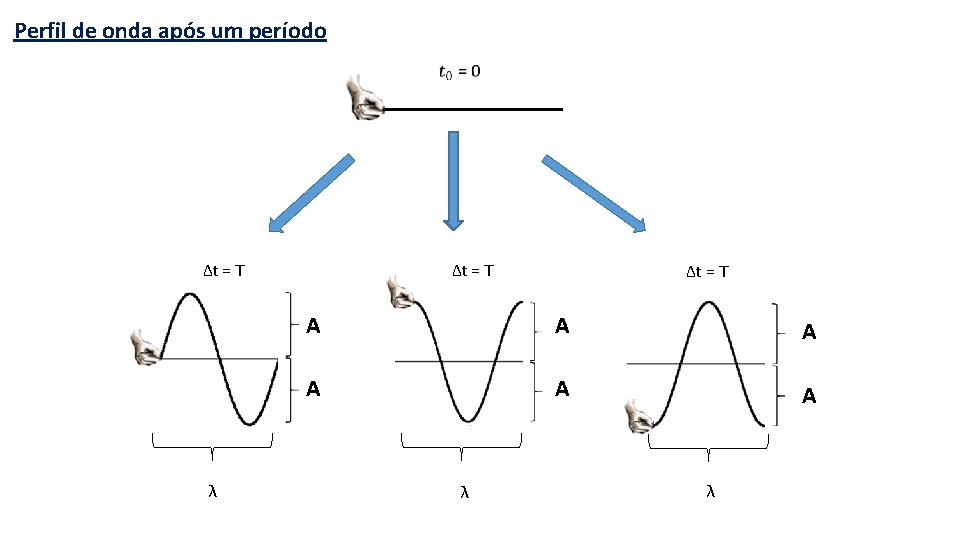 Perfil de onda após um período Δt = T λ Δt = T A