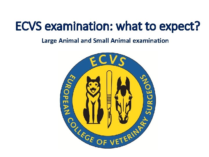 ECVS examination: what to expect? Large Animal and Small Animal examination 