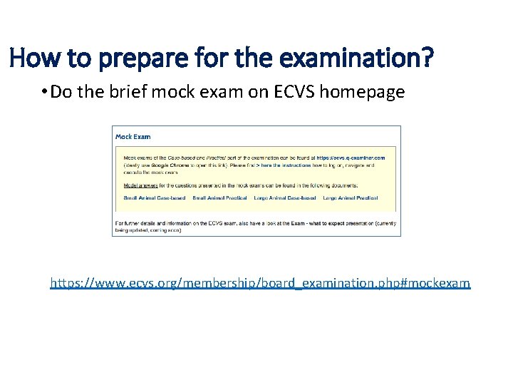 How to prepare for the examination? • Do the brief mock exam on ECVS